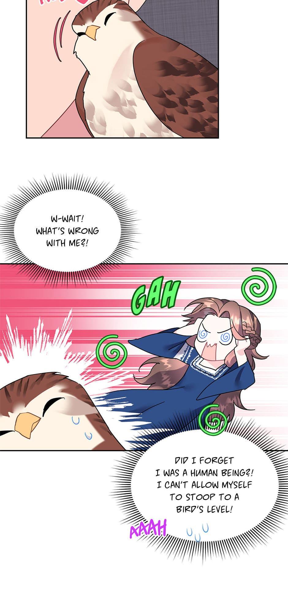 The Falcon Princess Episode 23 28