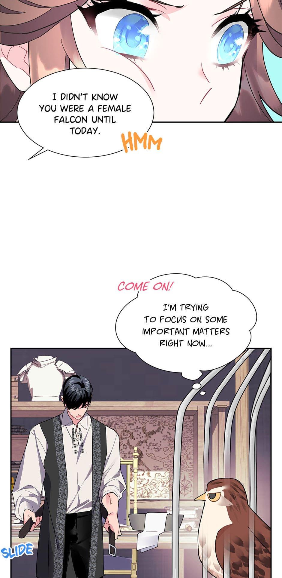 The Falcon Princess Episode 23 33