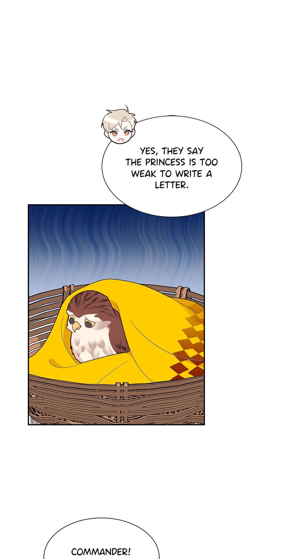 The Falcon Princess Episode 26 20