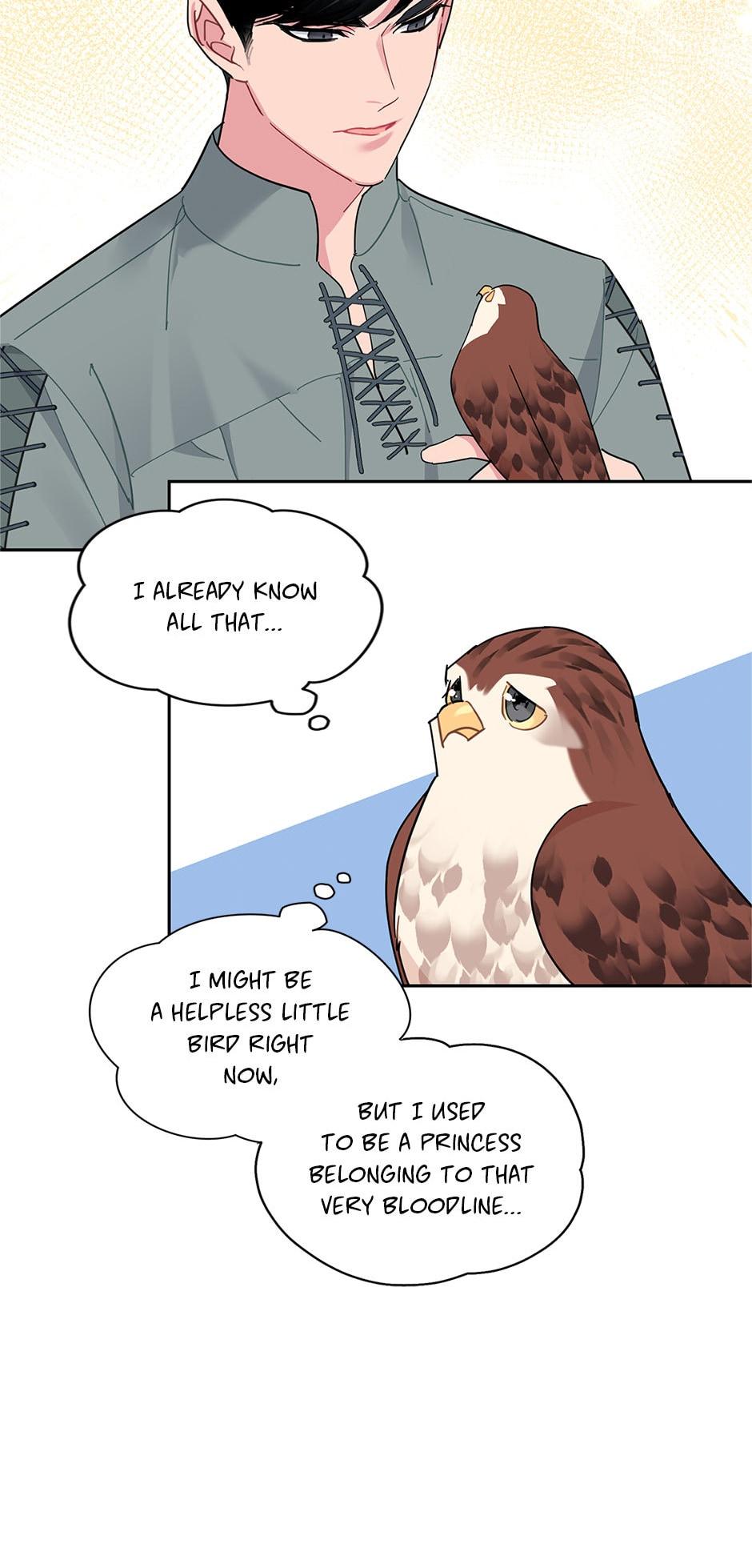 The Falcon Princess Episode 28 45