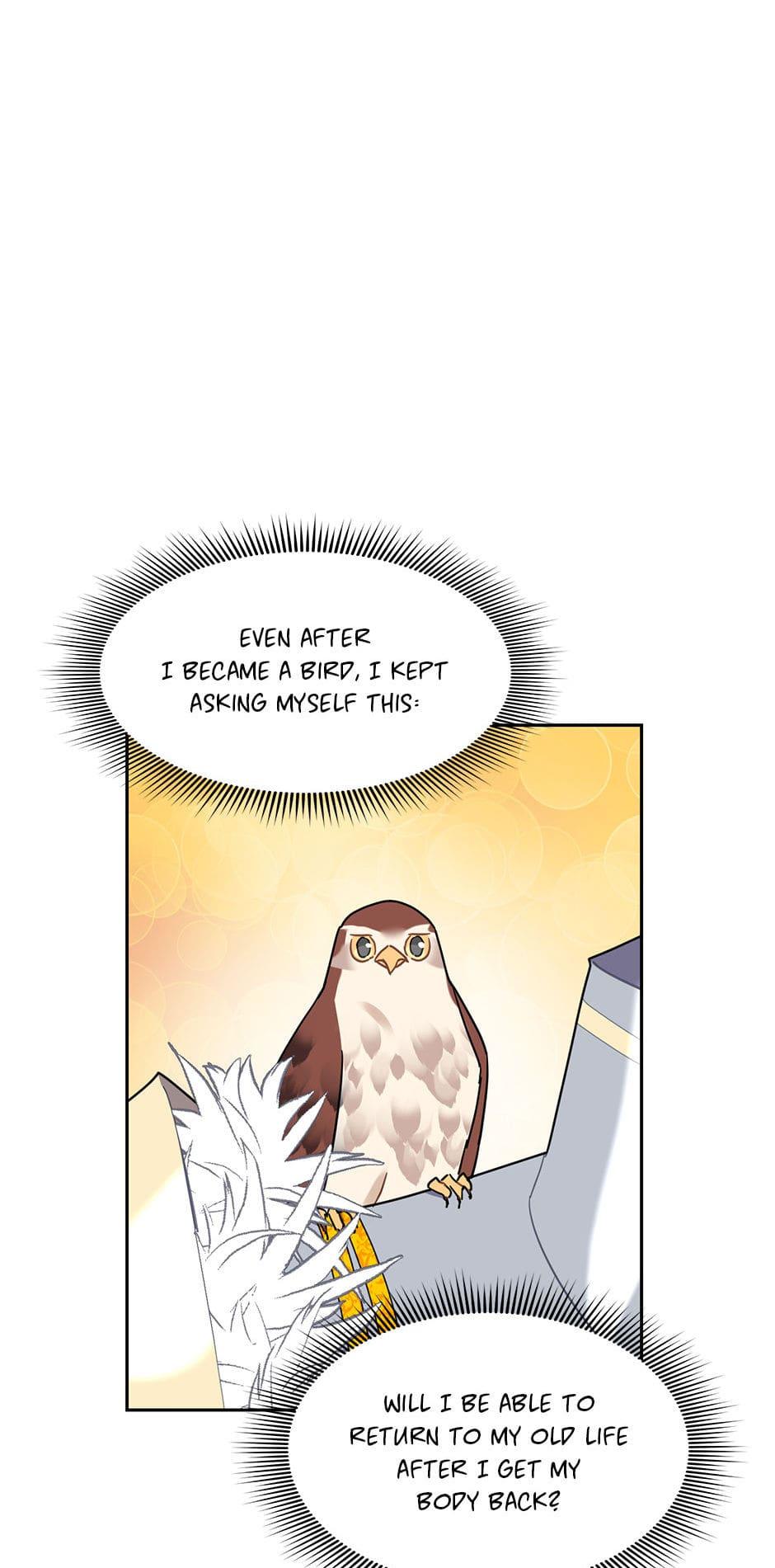 The Falcon Princess Episode 34 55
