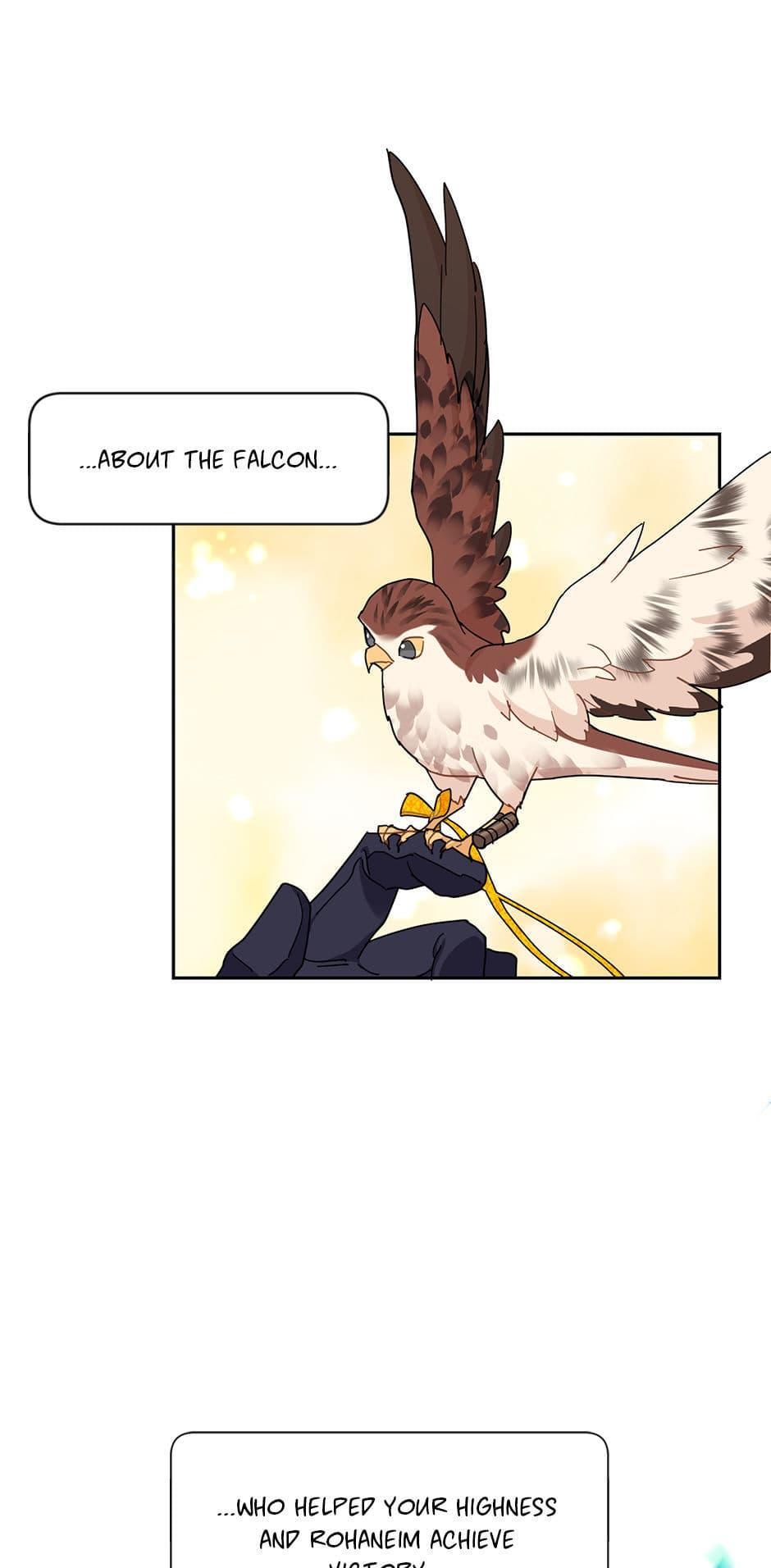 The Falcon Princess Episode 40 42