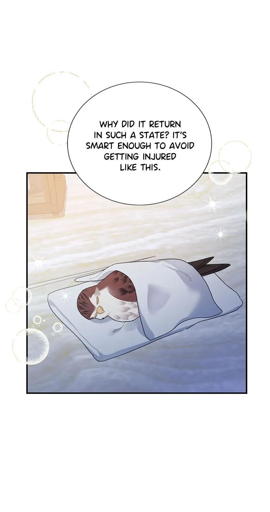 The Falcon Princess Episode 43 17