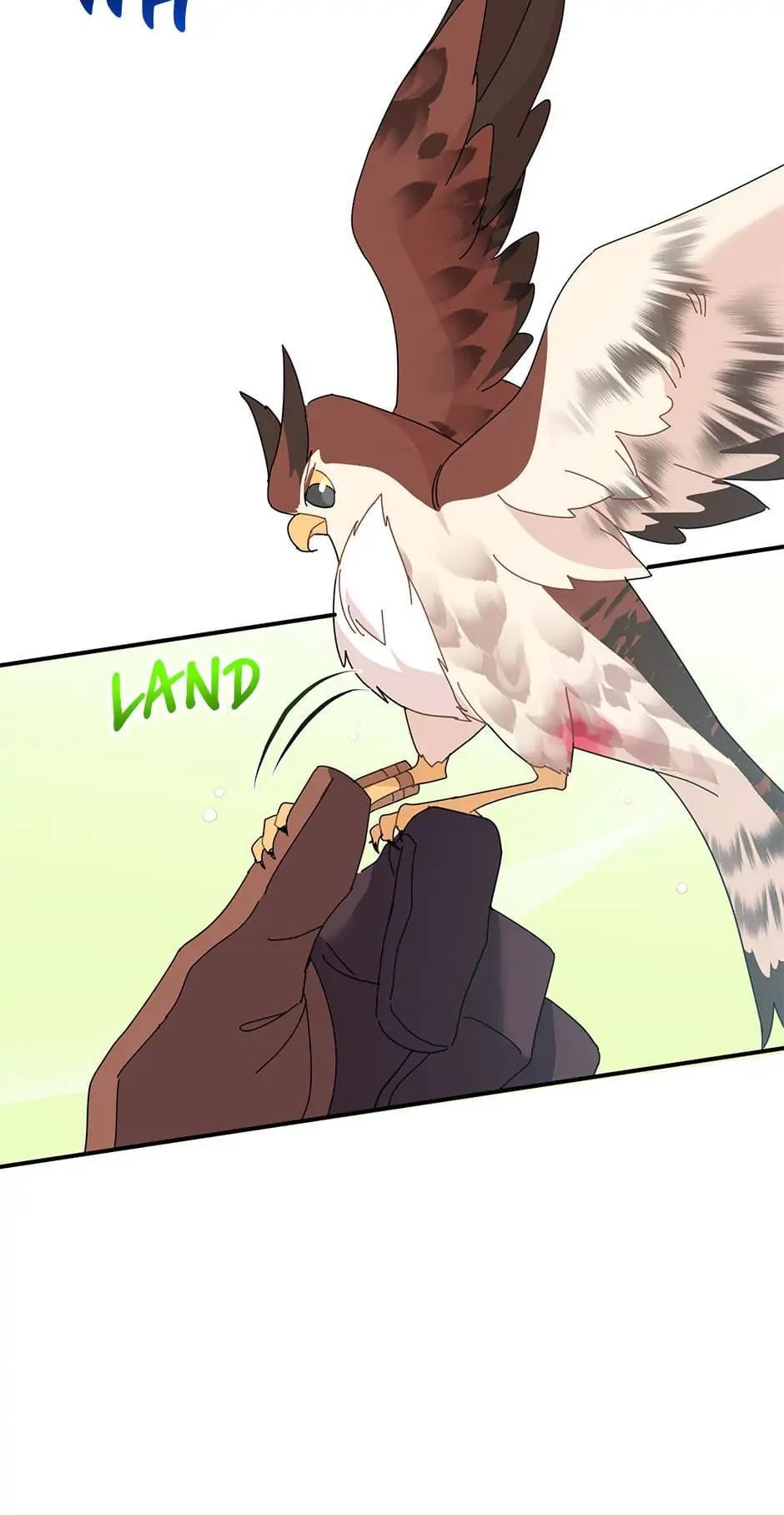 The Falcon Princess Episode 44 77