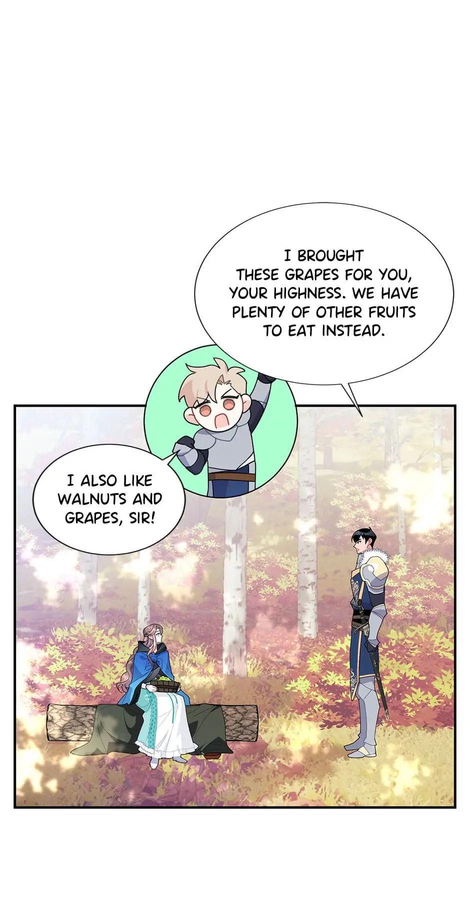 The Falcon Princess Episode 48 51