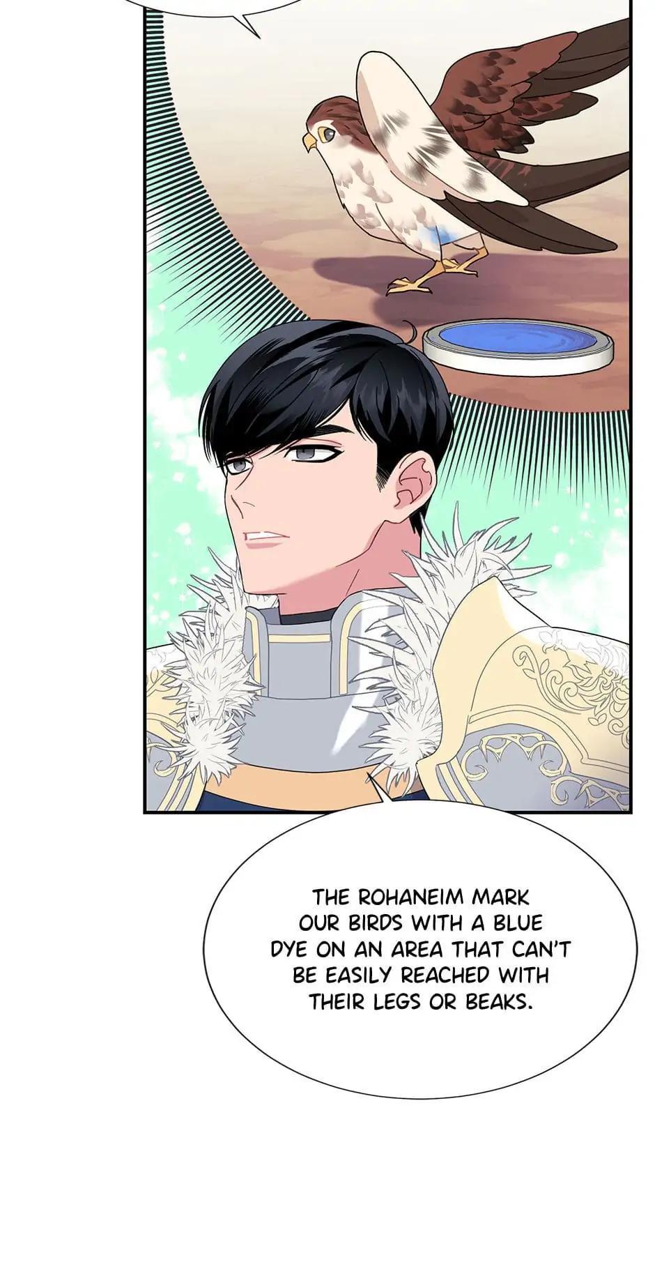 The Falcon Princess Episode 49 5