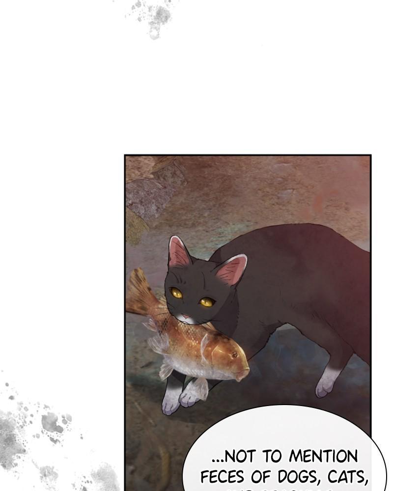 The Fateful Invitation Chapter 27 79