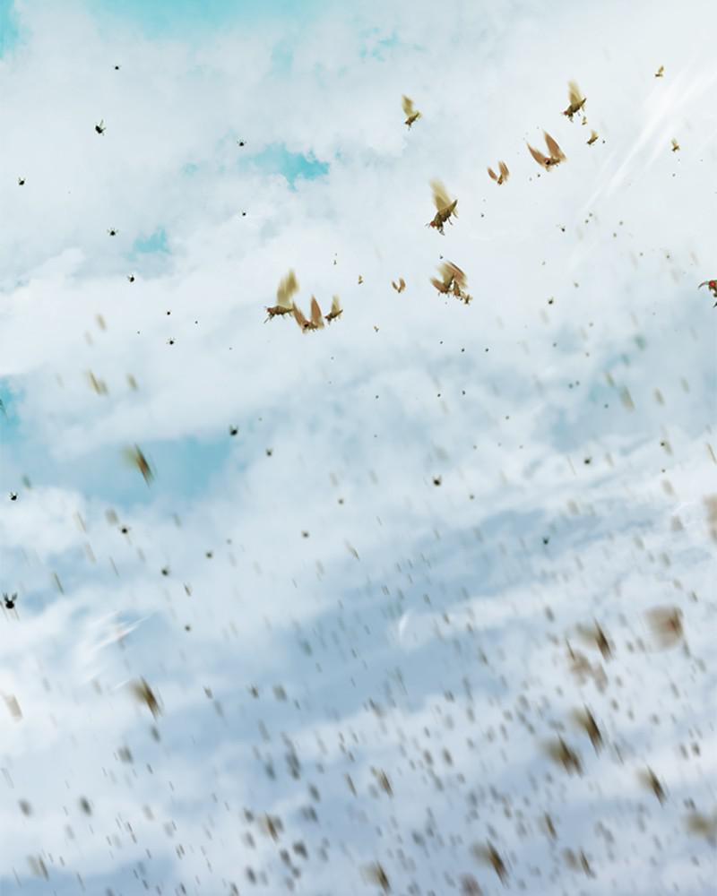 The Greatest Estate Developer Chapter 48