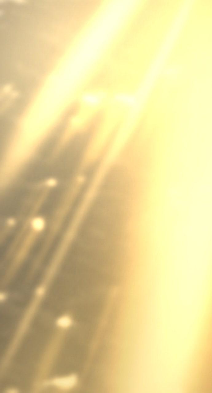 The Greatest Estate Developer Chapter 204