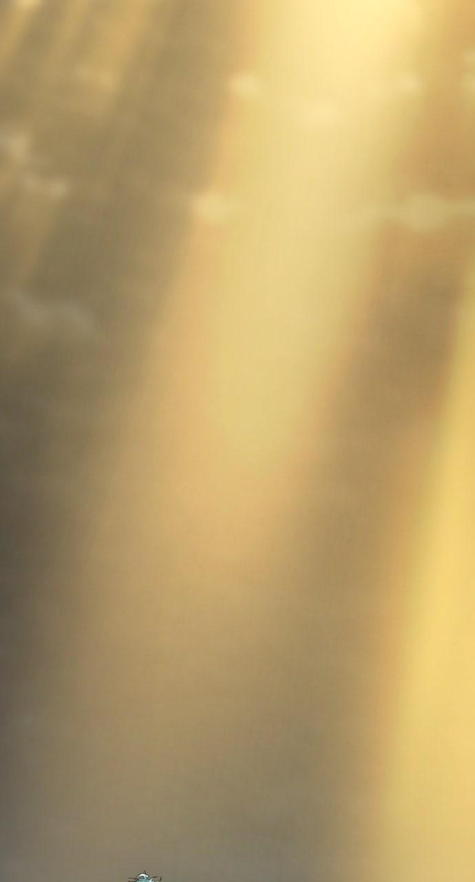 The Greatest Estate Developer Chapter 204