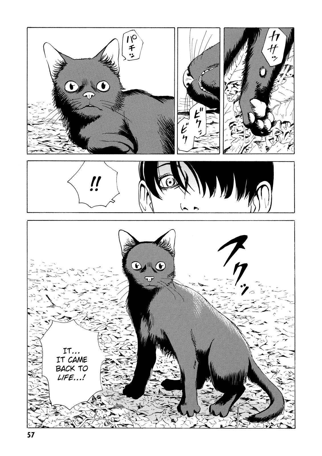 The Kurosagi Corpse Delivery Service Chapter 6 - Page 25