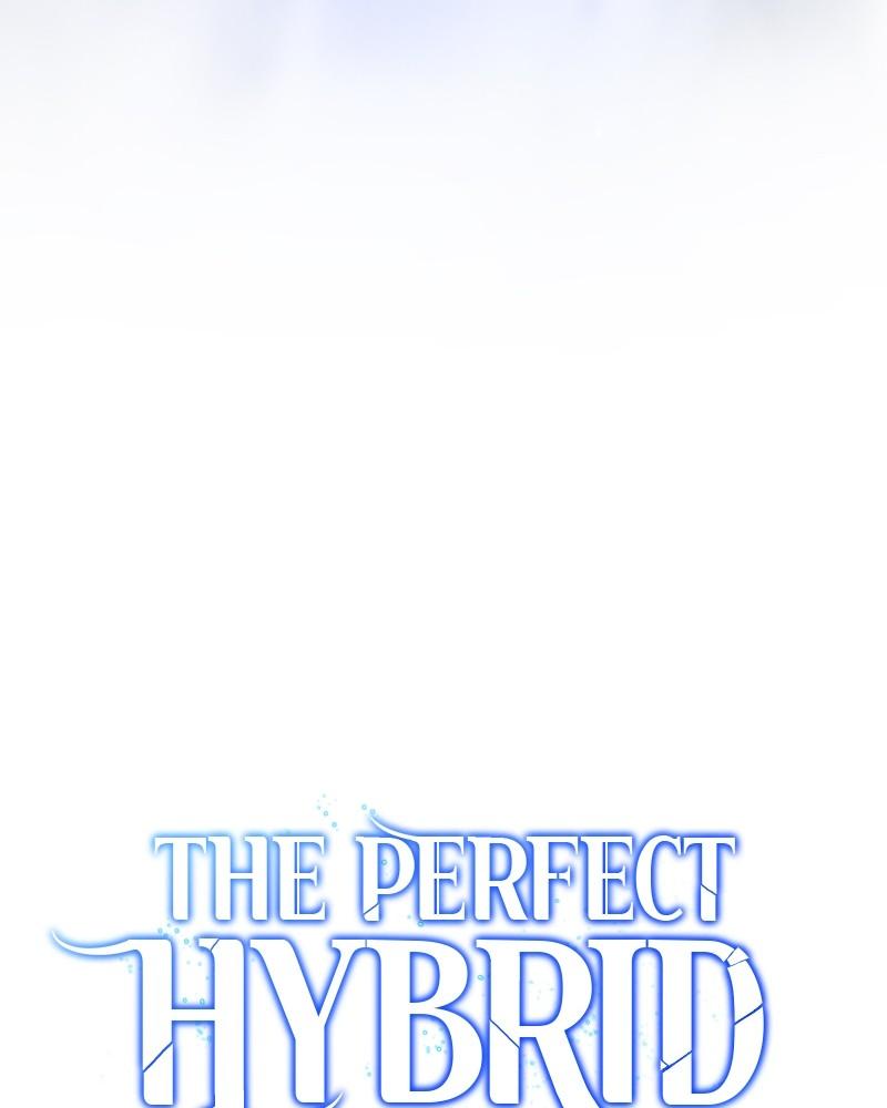 The Perfect Hybrid Chapter 107 87