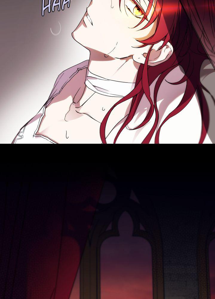 The Spark in Your Eyes Chapter 1