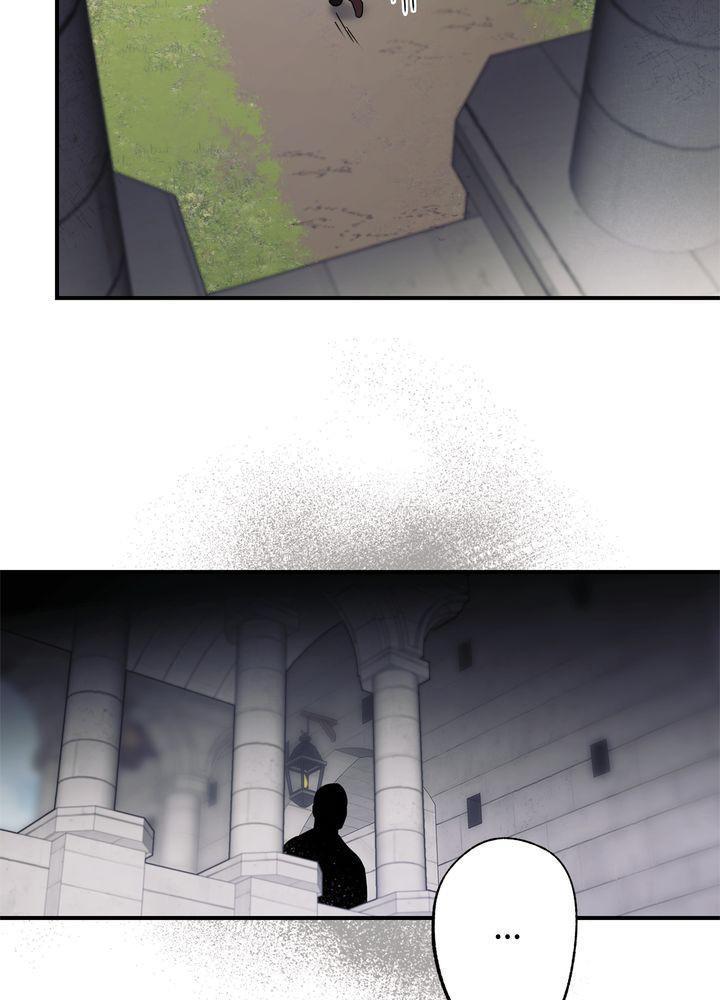 The Spark in Your Eyes Chapter 7