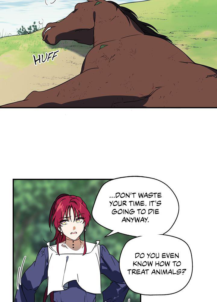 The Spark in Your Eyes Chapter 8