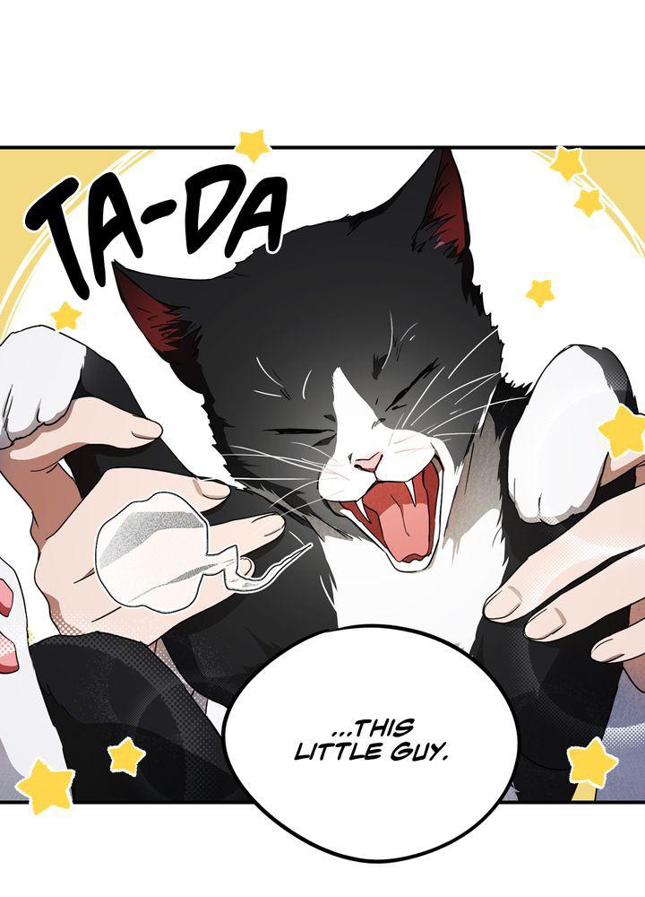 The Spark in Your Eyes Chapter 37