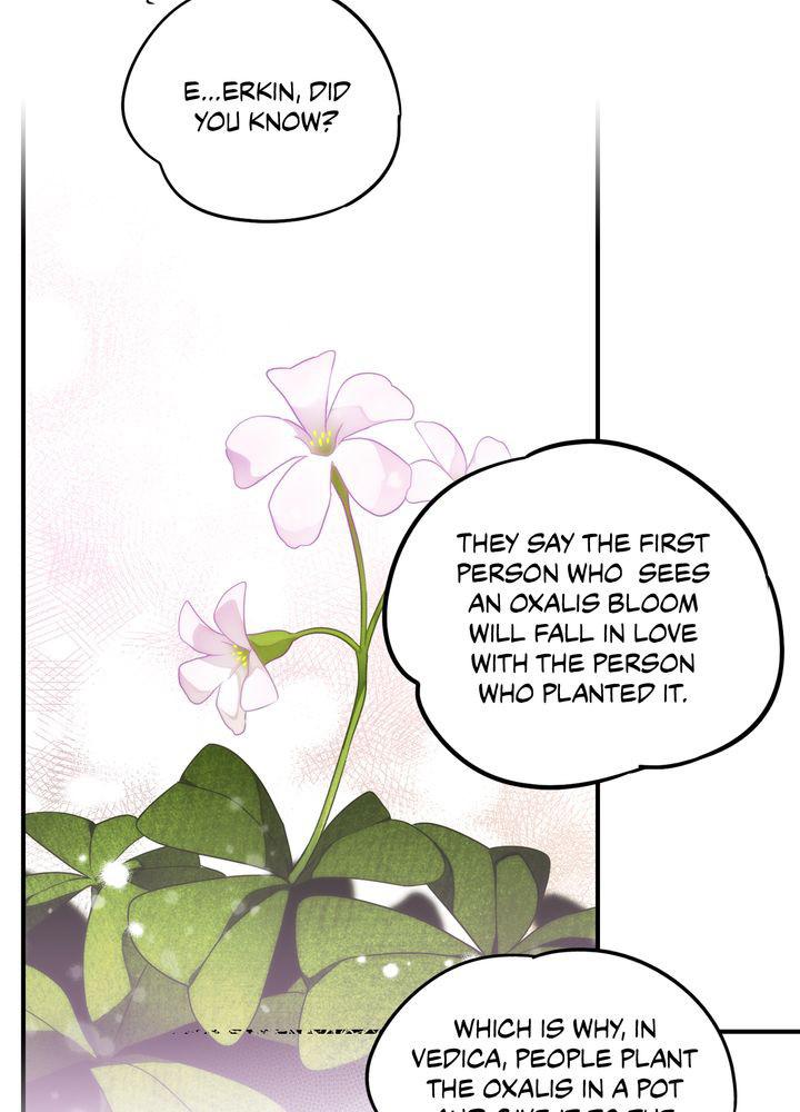 The Spark in Your Eyes Chapter 39