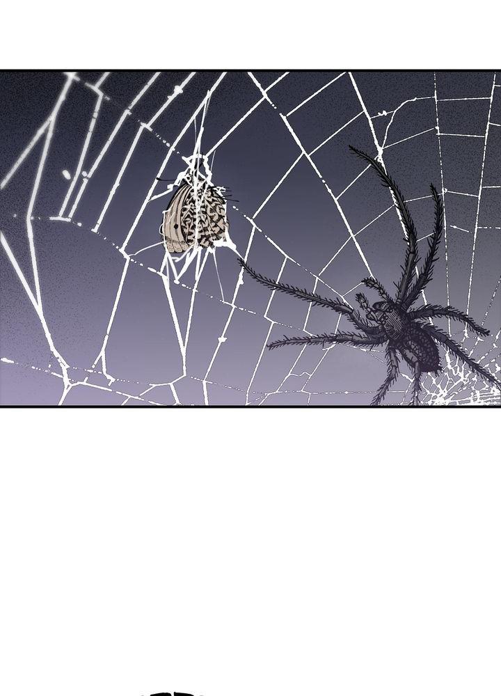 The Spark in Your Eyes Chapter 44