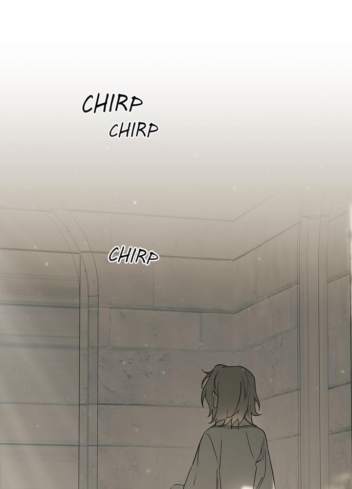 The Spark in Your Eyes Chapter 50