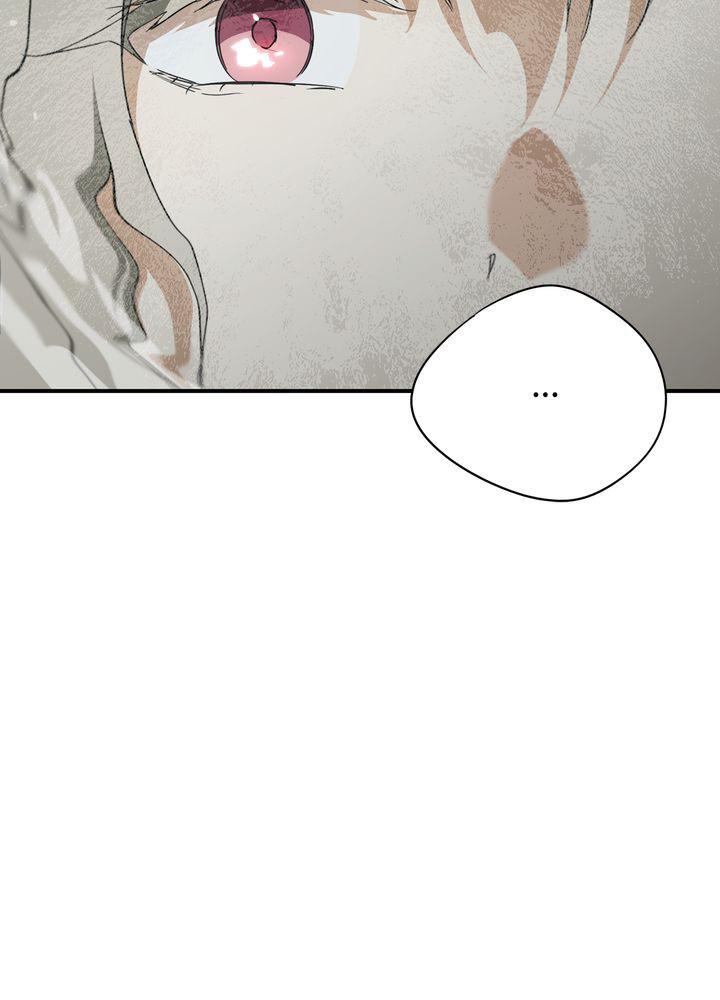 The Spark in Your Eyes Chapter 50