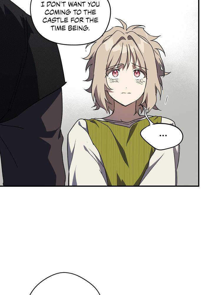 The Spark in Your Eyes Chapter 50