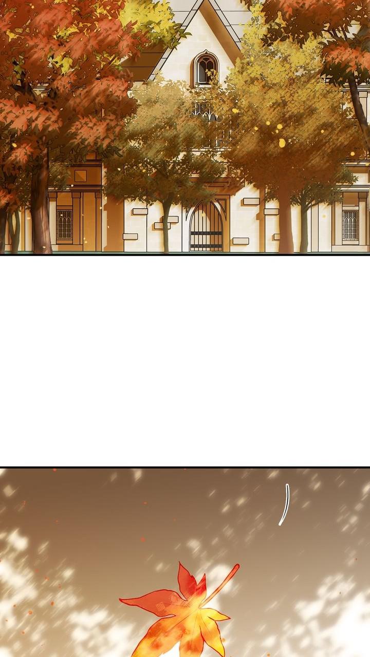 The Spark in Your Eyes Chapter 60