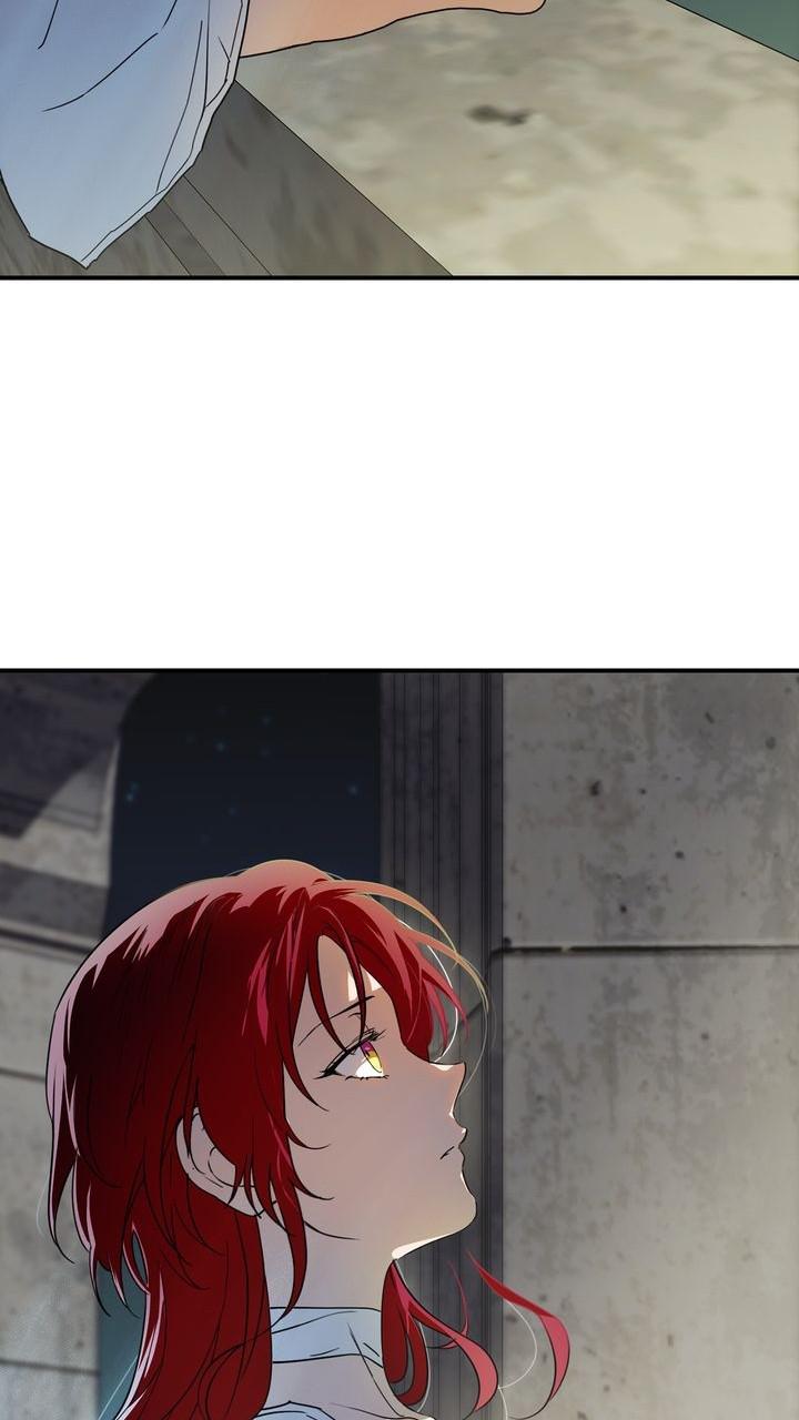 The Spark in Your Eyes Chapter 66