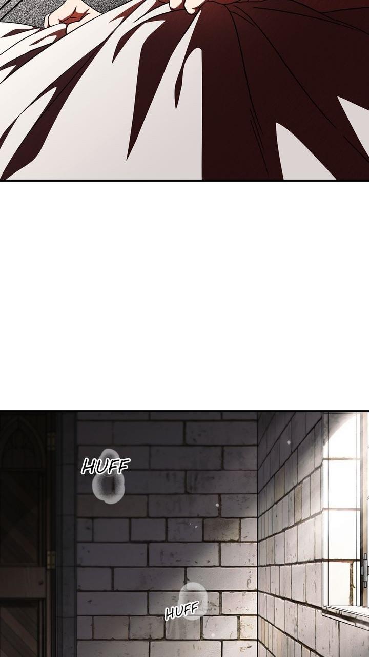 The Spark in Your Eyes Chapter 78