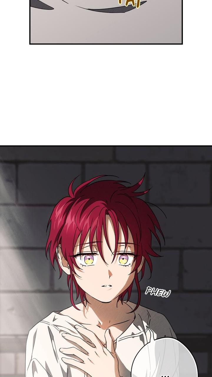 The Spark in Your Eyes Chapter 78