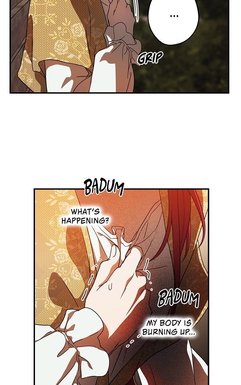 The Spark in Your Eyes Chapter 98