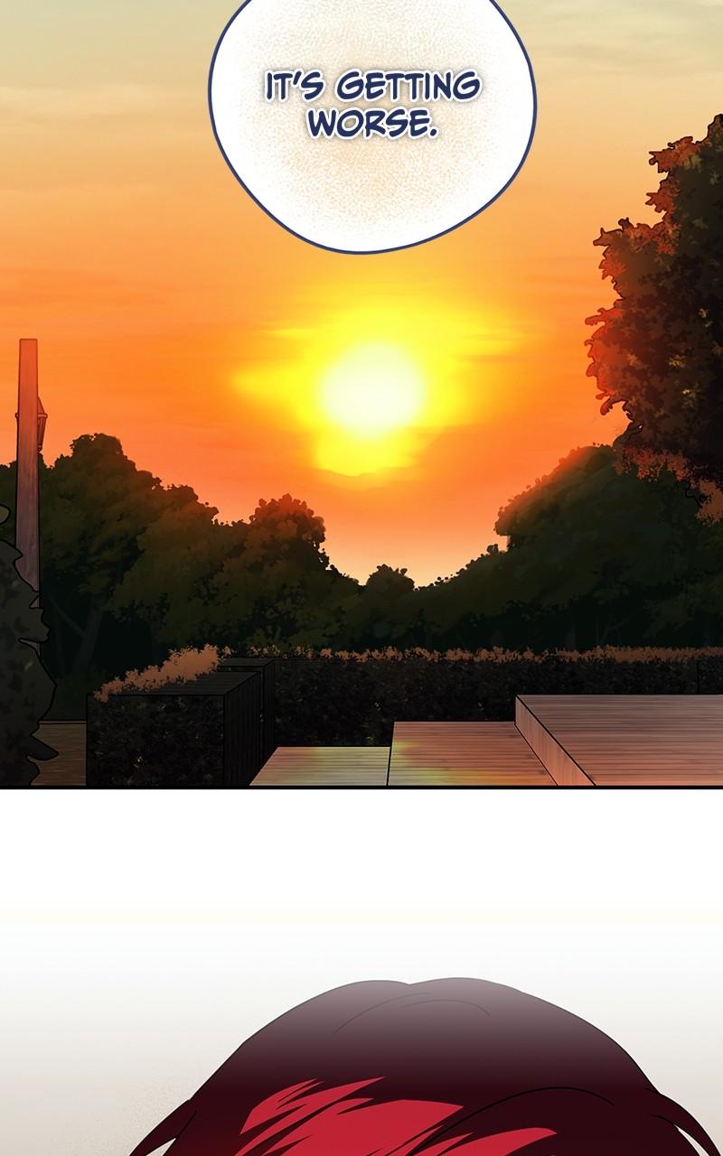 The Spark in Your Eyes Chapter 99