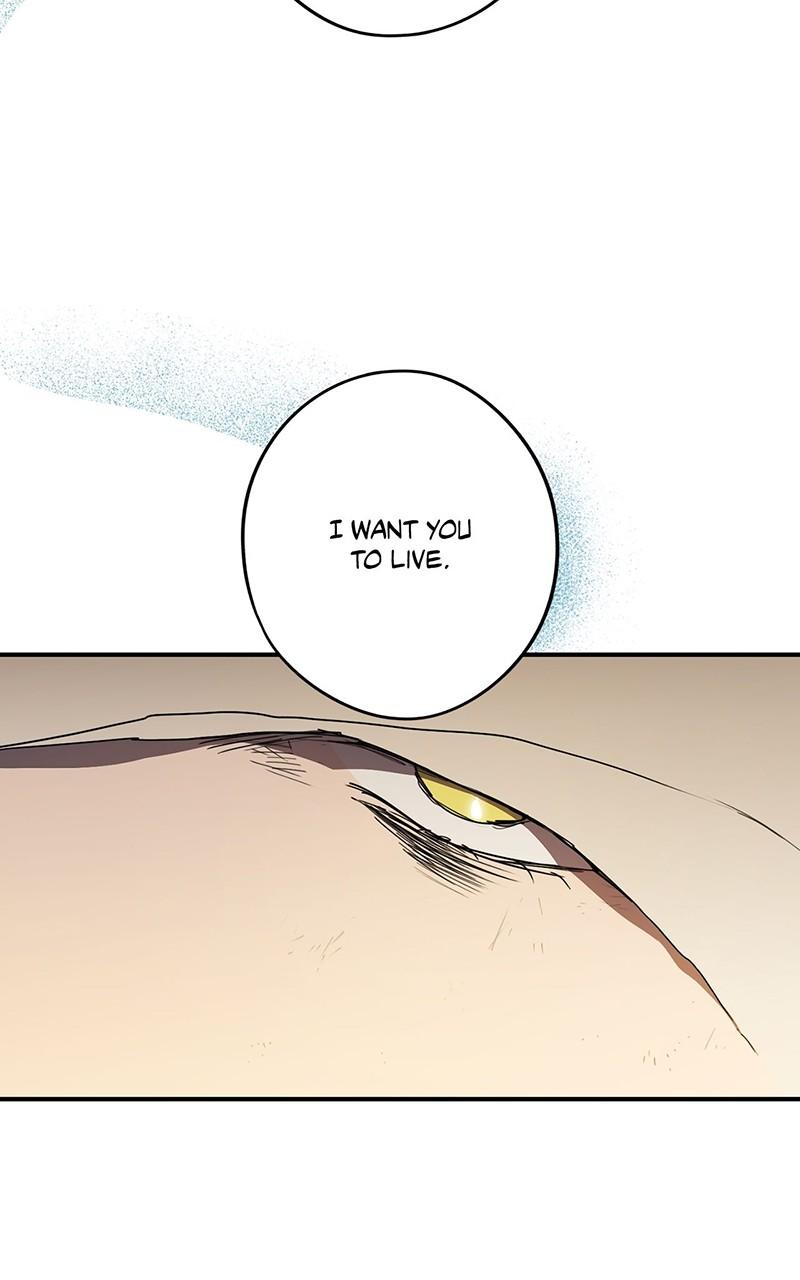 The Spark in Your Eyes Chapter 107