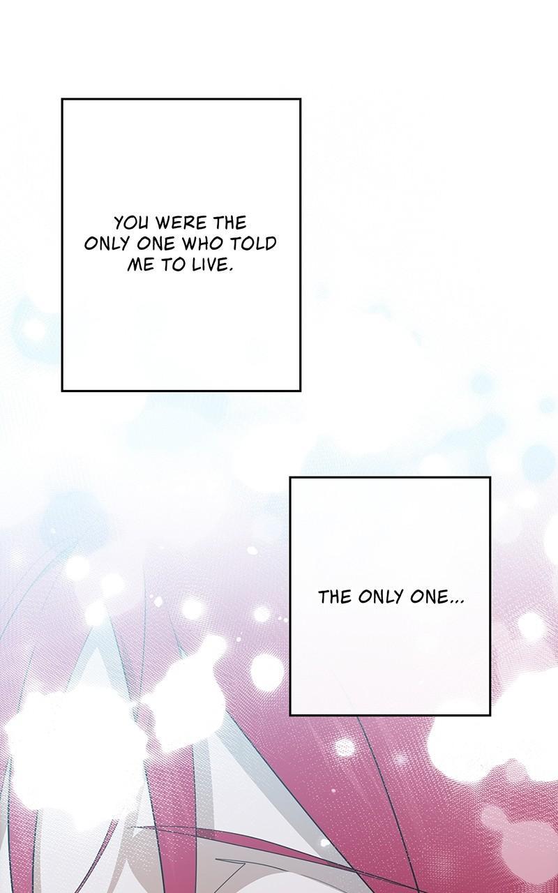 The Spark in Your Eyes Chapter 113