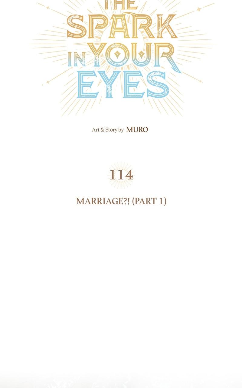 The Spark in Your Eyes Chapter 114