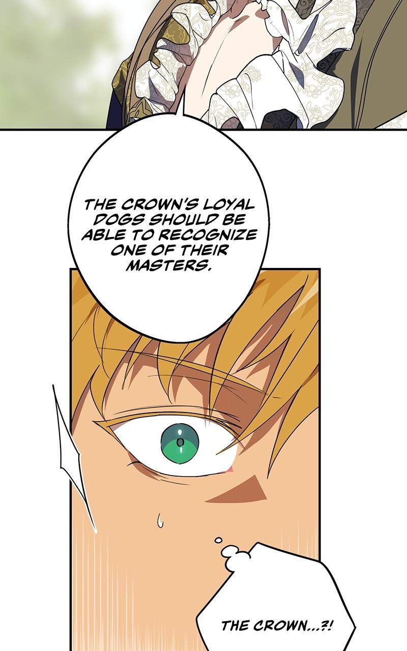 The Spark in Your Eyes Chapter 115