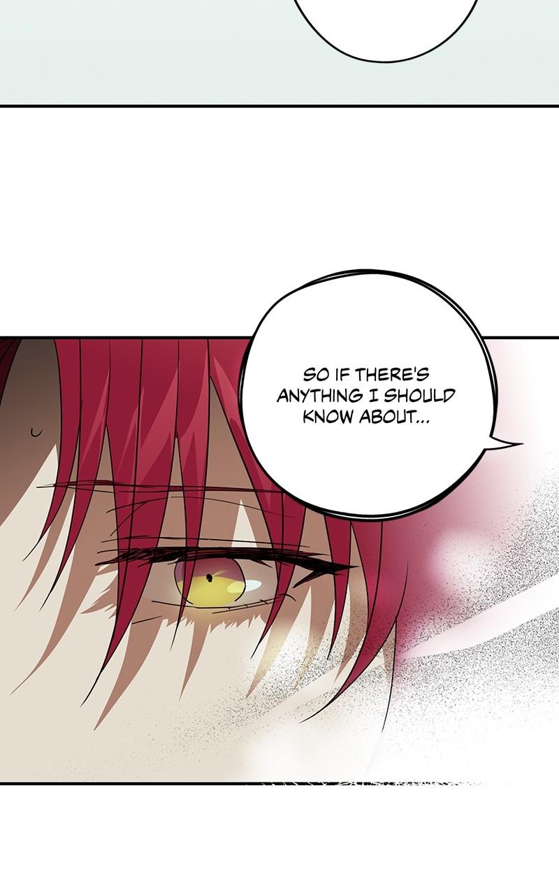 The Spark in Your Eyes Chapter 117