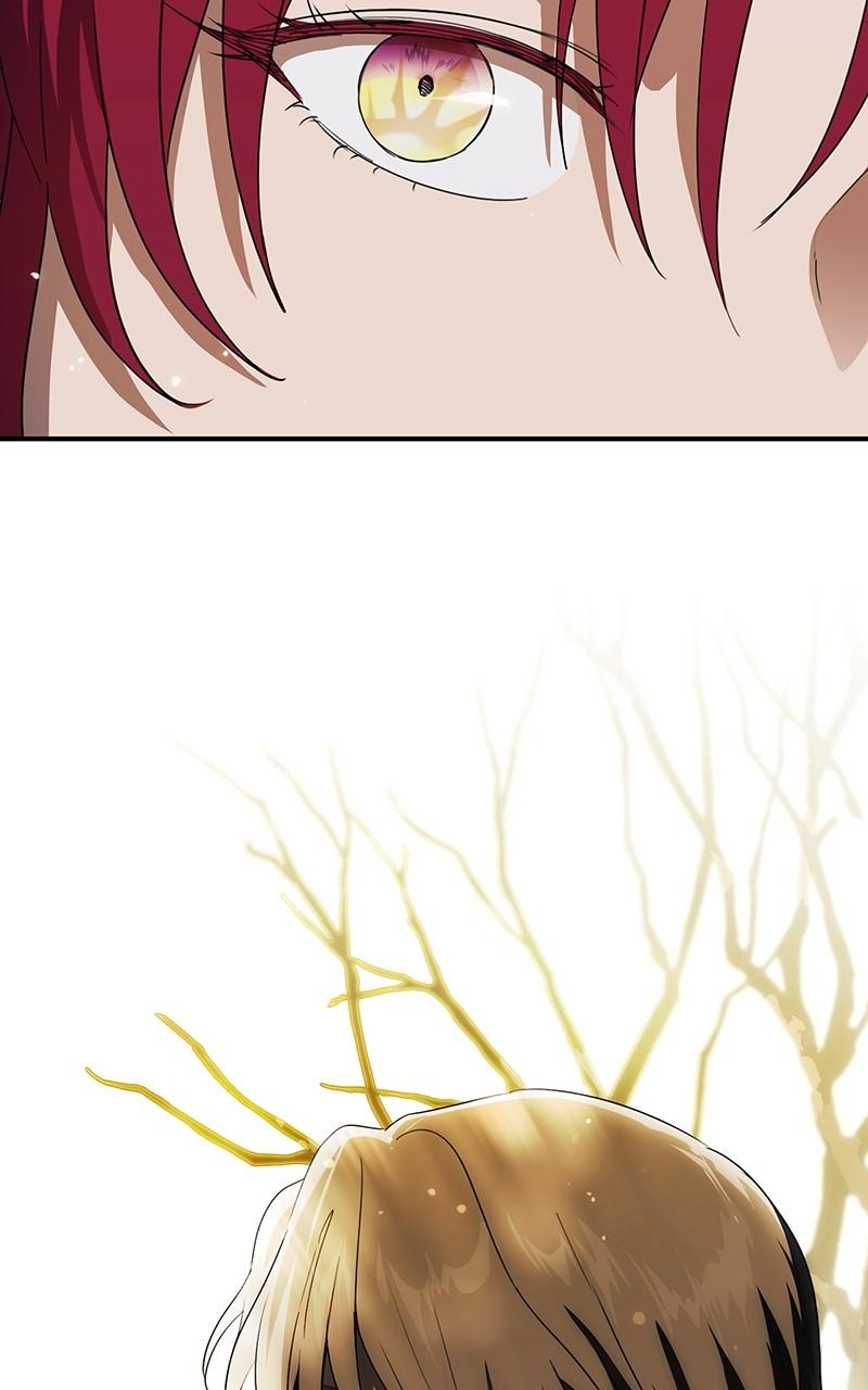 The Spark in Your Eyes Chapter 117