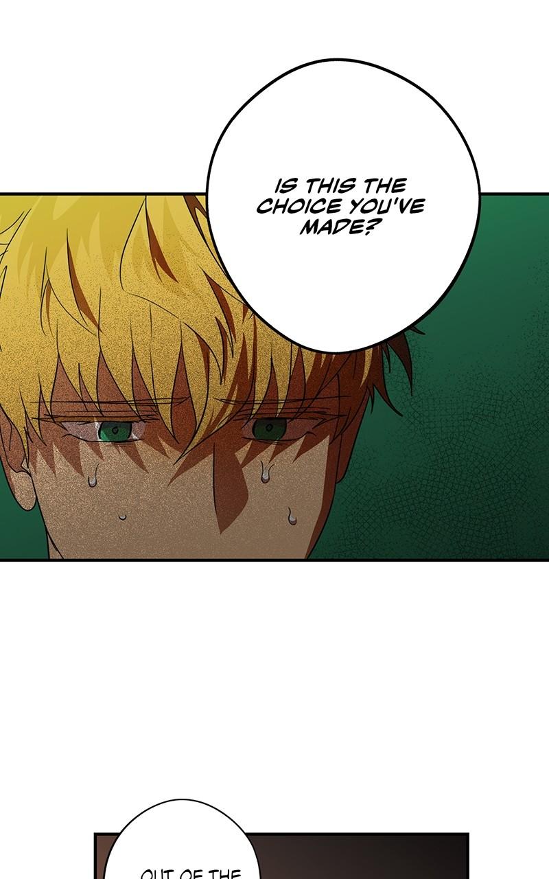 The Spark in Your Eyes Chapter 137