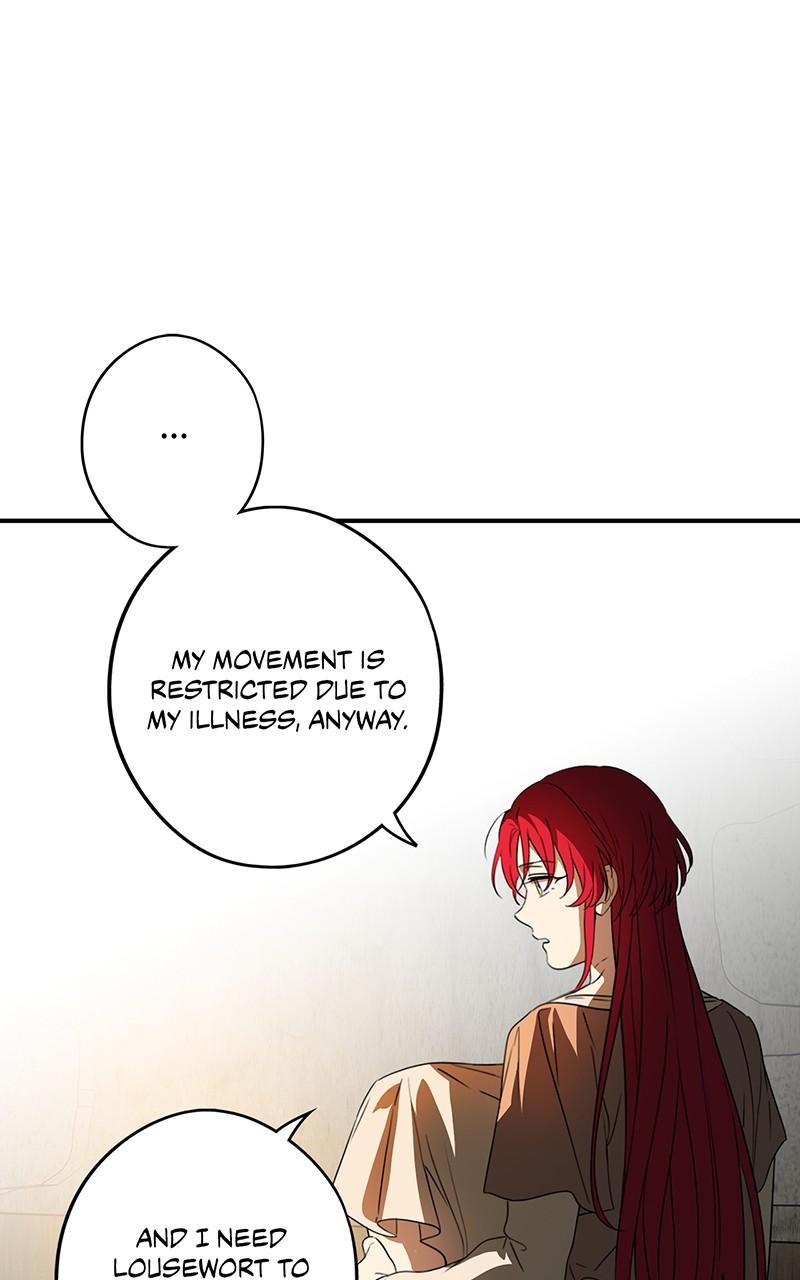 The Spark in Your Eyes Chapter 141