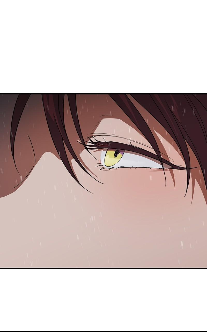 The Spark in Your Eyes Chapter 148