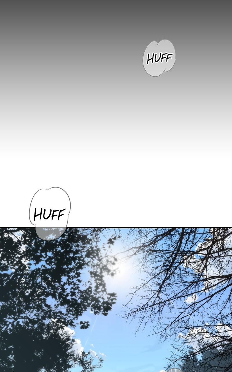 The Spark in Your Eyes Chapter 164