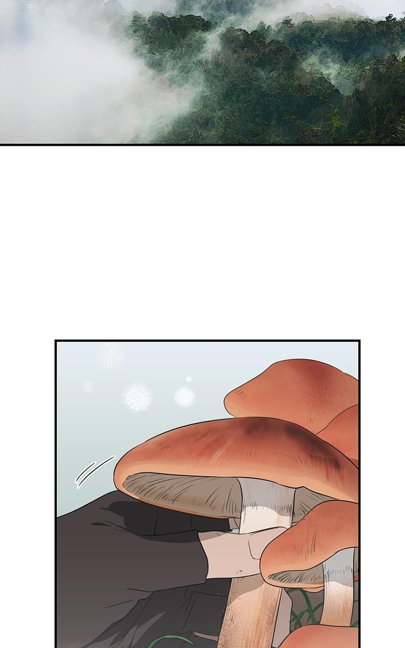 The Spark in Your Eyes Chapter 166