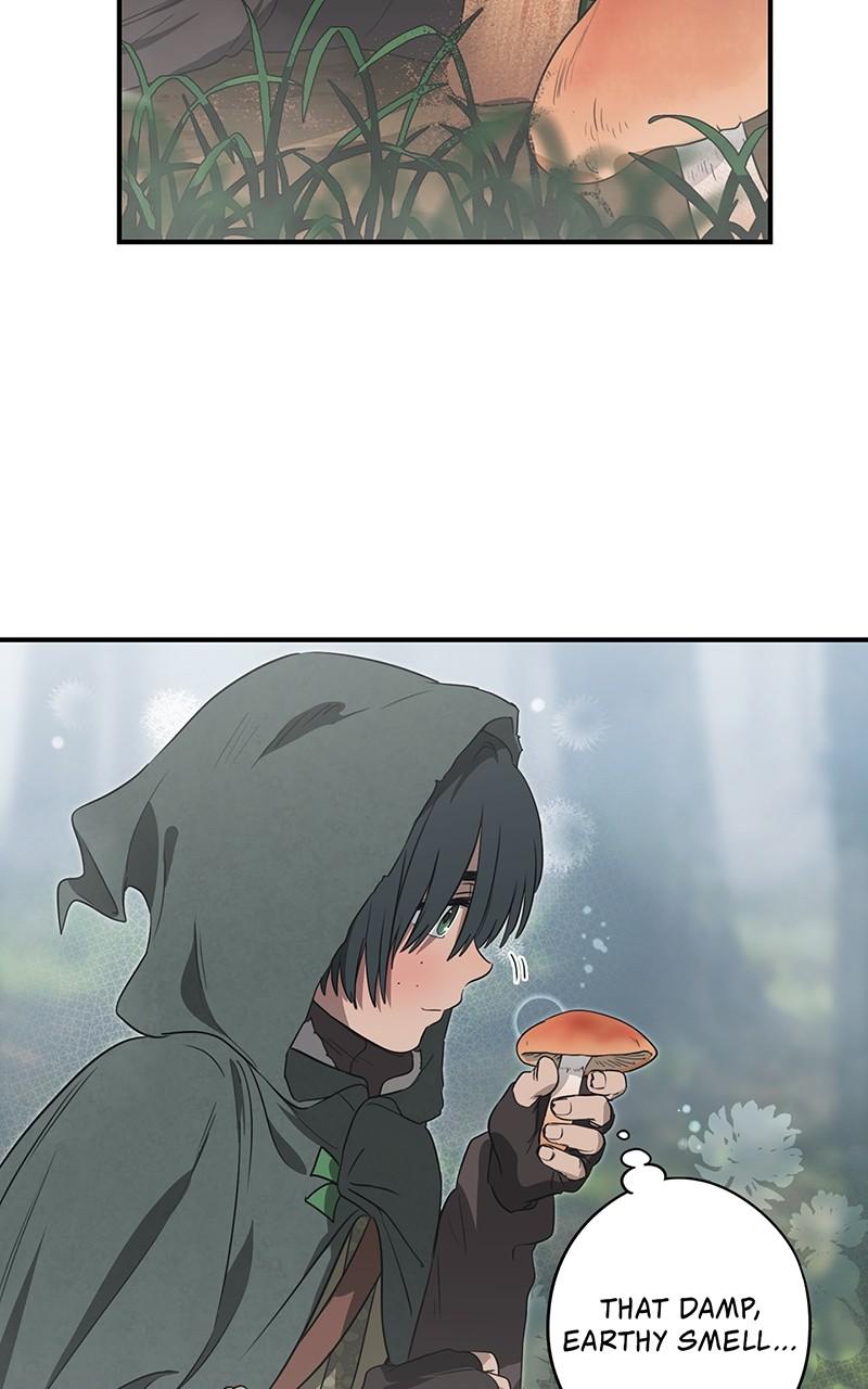 The Spark in Your Eyes Chapter 166