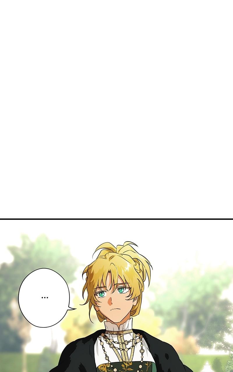 The Spark in Your Eyes Chapter 167