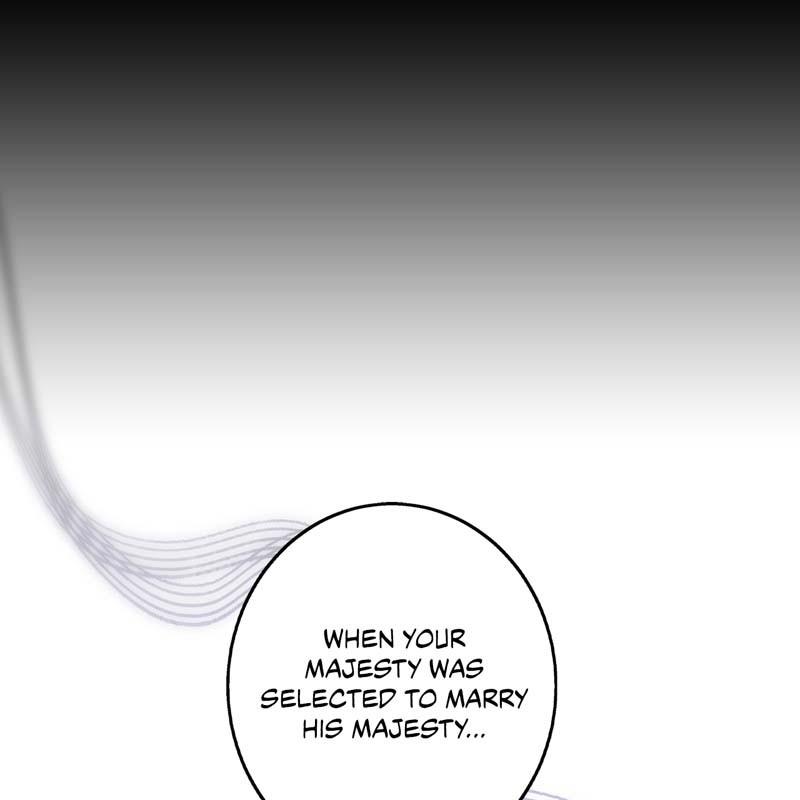 The Spark in Your Eyes Chapter 168