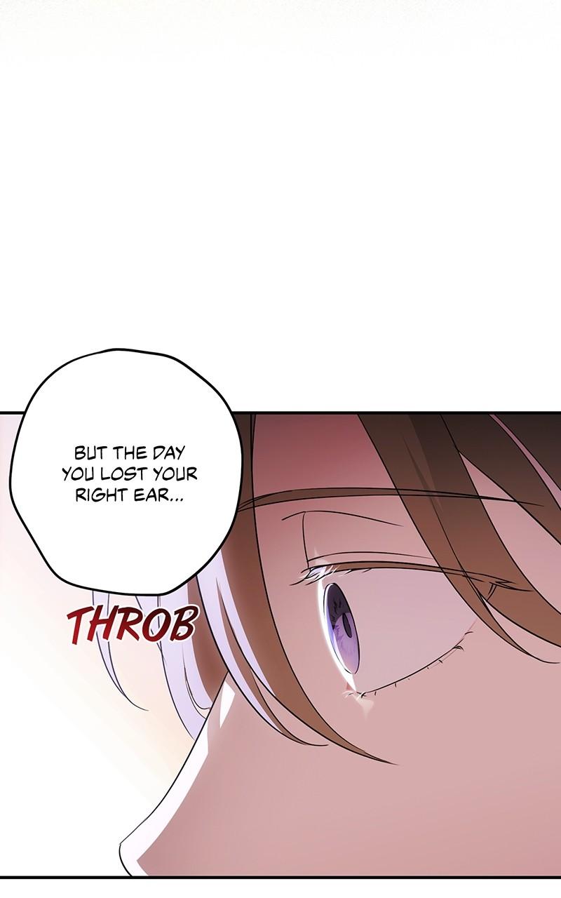 The Spark in Your Eyes Chapter 169