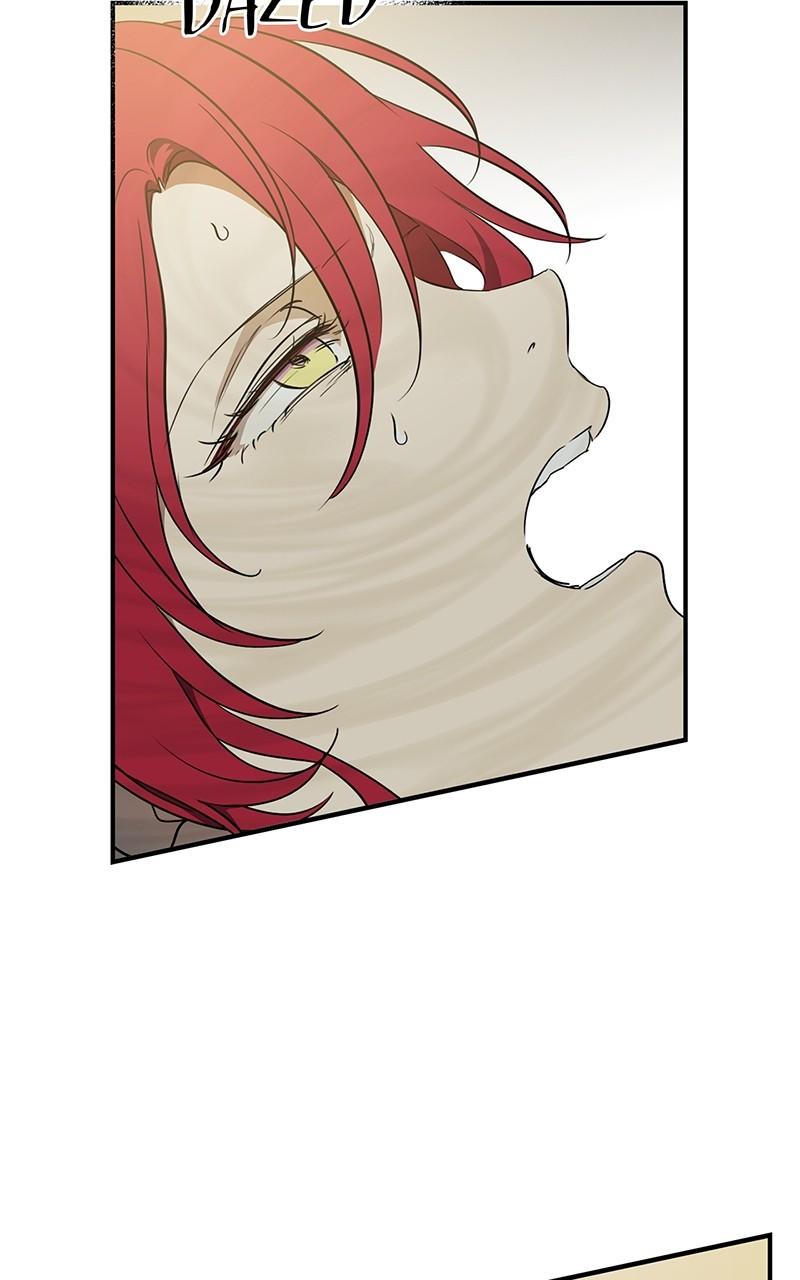 The Spark in Your Eyes Chapter 174