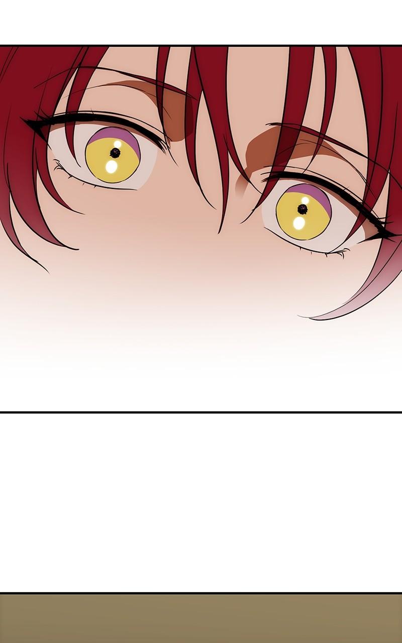 The Spark in Your Eyes Chapter 174