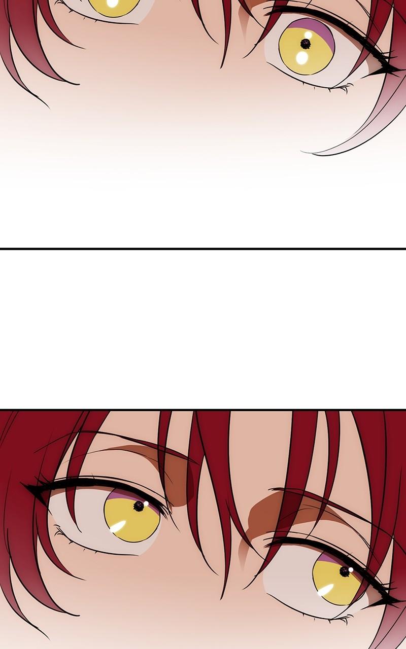 The Spark in Your Eyes Chapter 174