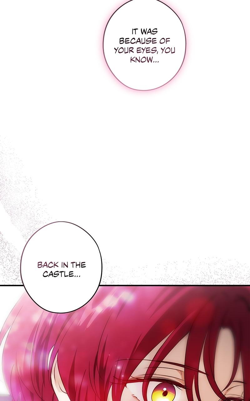 The Spark in Your Eyes Chapter 177